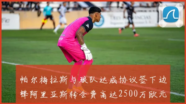 帕尔梅拉斯与狼队达成协议签下边锋阿里亚斯转会费高达2500万欧元