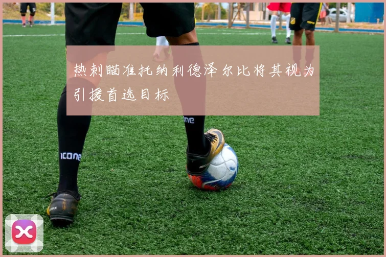 热刺瞄准托纳利德泽尔比将其视为引援首选目标