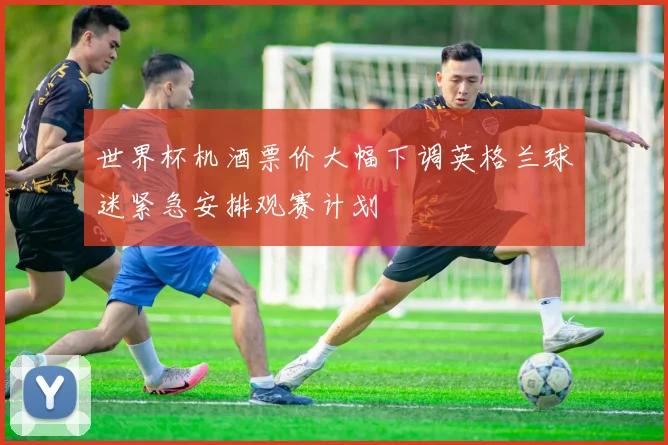世界杯机酒票价大幅下调英格兰球迷紧急安排观赛计划